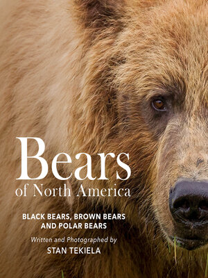 cover image of Bears of North America